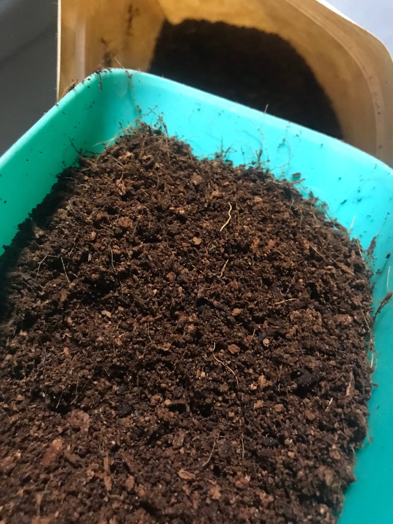 Coconut Coir 100 Pure Organic Etsy