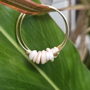 Puka Muschel Ohrring. Hawaiianische Puka Muschel. Sea Shell Ohrringe. Hawaiianische Muschel Schmuck. Hawaiianisches Geschenk. Creolen 14K Gold gefüllt