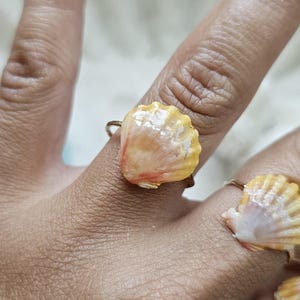 Hawaii Sunrise Seashell.  Seashell Ring. Hawaiian Gift. Ring for Her. Unique Ring. 14K Gold Filled Ring. Size 7