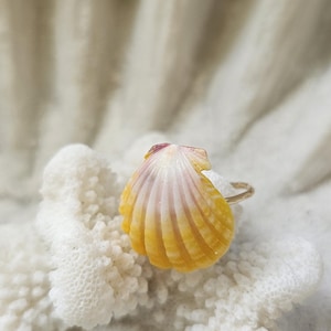 Hawaii Sunrise Seashell.  Seashell Ring. Hawaiian Gift. Ring for Her. Unique Ring. 14K Gold Filled Ring. Size 7.5