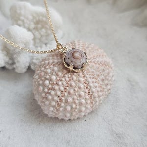 Hawaii Puka Shell Necklace. 14K Gold Filled Necklace. Hawaiian Puka Shell.
