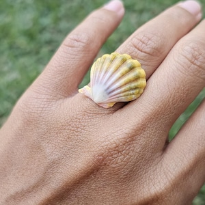 Hawaiian Sunrise Seashell.  Sunrise Seashell Ring. Hawaiian Gift. Ring for Her. Unique Ring. 14K Gold Filled Ring. Size 6.5 US