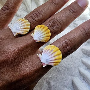 May include: Three seashells with yellow and white stripes are worn as rings on a person's fingers. The shells are arranged in a row on the index, middle, and ring fingers.