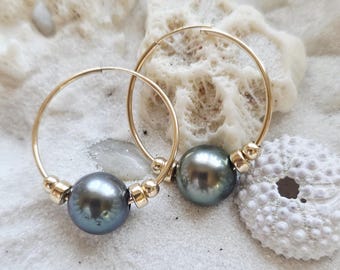 Pendientes de aro de perlas tahitianas, aros pequeños chapados en oro de 14k.