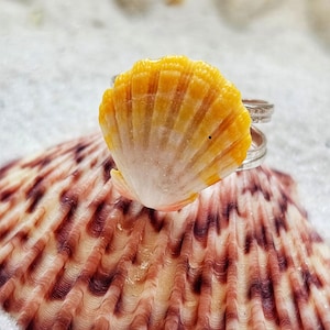 Hawaiian Sunrise Seashell Adjustable Ring. Sterling Silver Seashell Ring. Hawaiian Gift. Ring for Her. Sterling silver Shell Ring