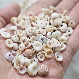 Puka Shell Buttons Crafting Puka Shells. Crafting Puka Shell. Jewelry Design Shells - Etsy