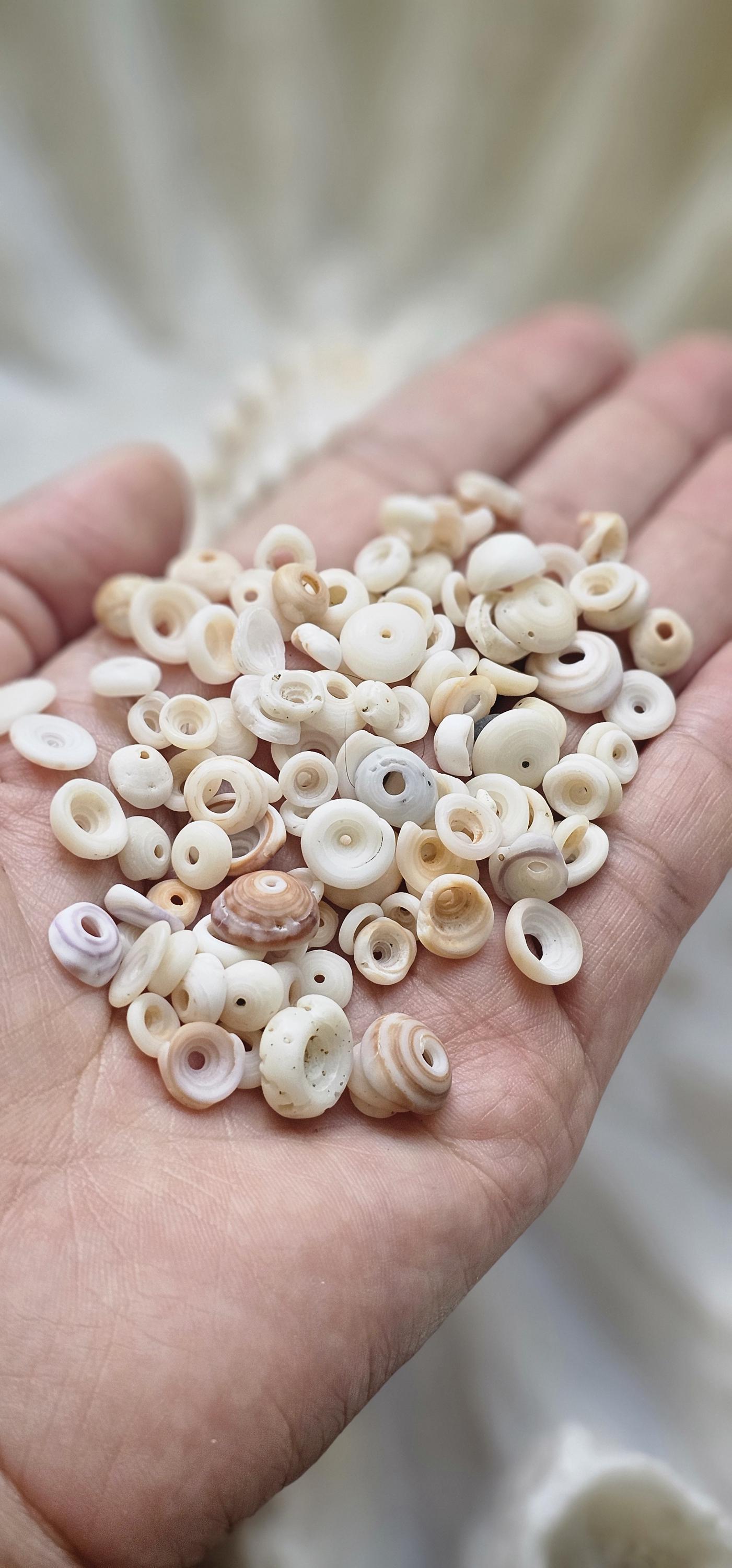 Crafting Puka Shells. Crafting Puka Shell. Jewelry Design Shells - Etsy