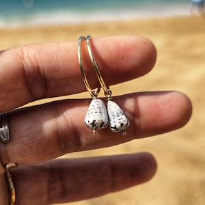 May include: Gold hoop earrings with white and black seashell pendants. The earrings feature a small gold bead at the base of each shell. The background is a blurred view of a beach.