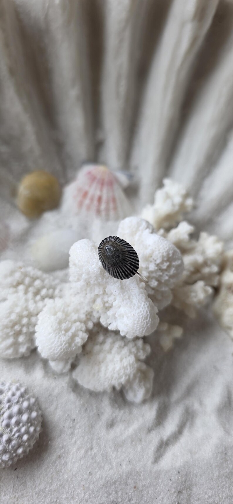 Opihi Seashell Ring: Handmade Limpet Shell Statement Ring, Maui ...