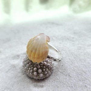 Hawaiian Sunrise Seashell.  Seashell Ring. Hawaiian Gift. Ring for Her. Unique Ring. Sterling silver Size 8