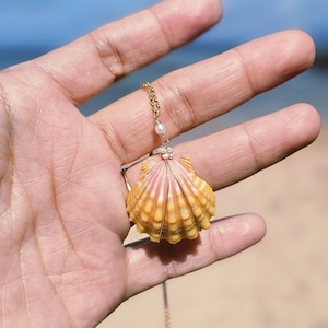 Rare Red Sunrise Shell Gold Necklace. Hawaii Seashell Necklace. Sea shell Necklace with Seed Pearl. Bright Sunrise Shell. Hawaiian Gift