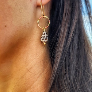 14K Gold Filled Hawaiian Seashell Earrings: Maui Hebrew Cone Shells