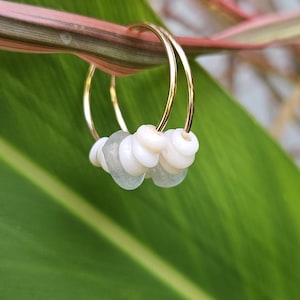 Muschel Seaglass Hoop Ohrringe.  Puka Muschel. Sea Shell Ohrringe. Hawaiianische Muschel Schmuck. Hawaiianisches Geschenk. Creolen 14K Gold gefüllt