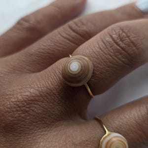May include: Two gold rings, each featuring a small, round seashell as a centerpiece. The shells have a spiral pattern in shades of brown and white. The rings are on a person's finger.