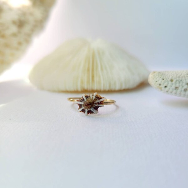 Silver Seashell Ring - Etsy
