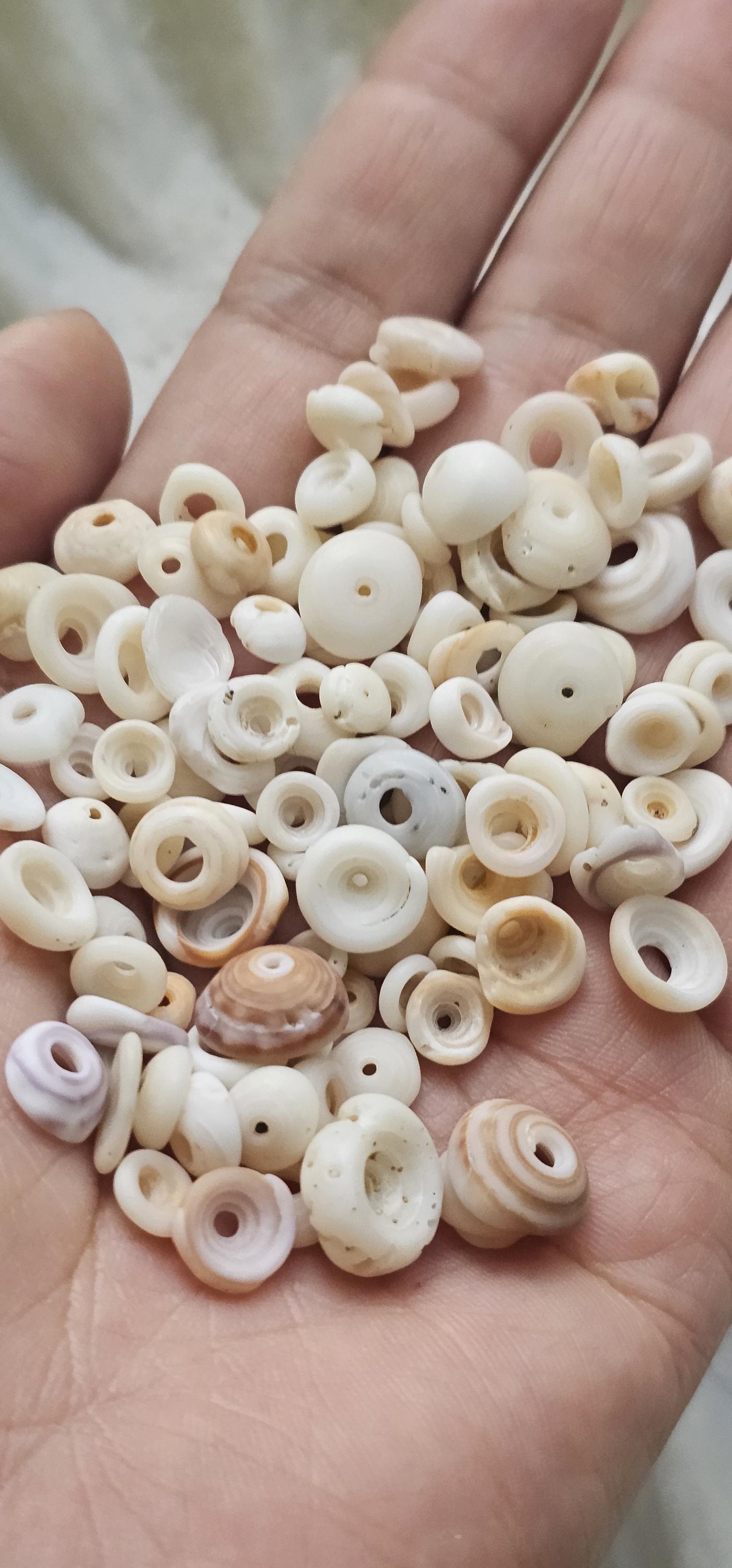 Crafting Puka Shells. Crafting Puka Shell. Jewelry Design Shells - Etsy