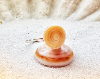 Puka Shell Ring: Hawaii Seashell, Sterling Silver Band, Size 6