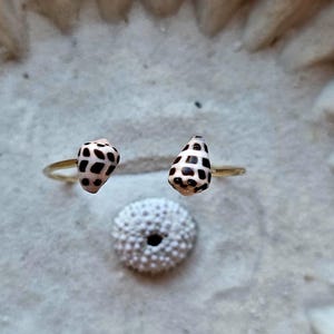 May include: A gold-colored open ring featuring two small, cone-shaped shells with black and white patterns. A white sea urchin is positioned below the ring. The ring is set against a textured, light-colored background.