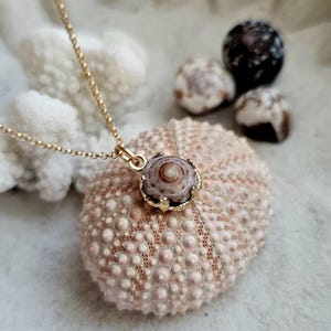 Puka Seashell Bezel Necklace. Hawaiian Shell Necklace. Puka Shell Necklace. Hawaiian Seashell Necklace