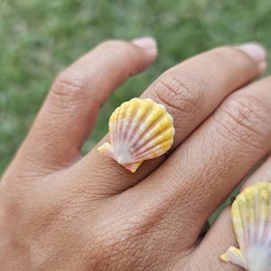 Hawaiian Sunrise Seashell.  Seashell Ring. Hawaiian Gift. Ring for Her. Unique Ring. 14K Gold Filled Ring. Size 7