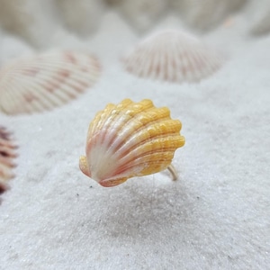 Hawaiian Sunrise Seashell.  Seashell Ring. Hawaiian Gift. Ring for Her. Unique Ring. 14K Gold Filled Ring. Size 7.5