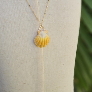 Sunrise Seashell Gold Necklace. Hawaiian Sunrise Seashell Jewelry. Hawaiian Shell. 14K Gold Filled.