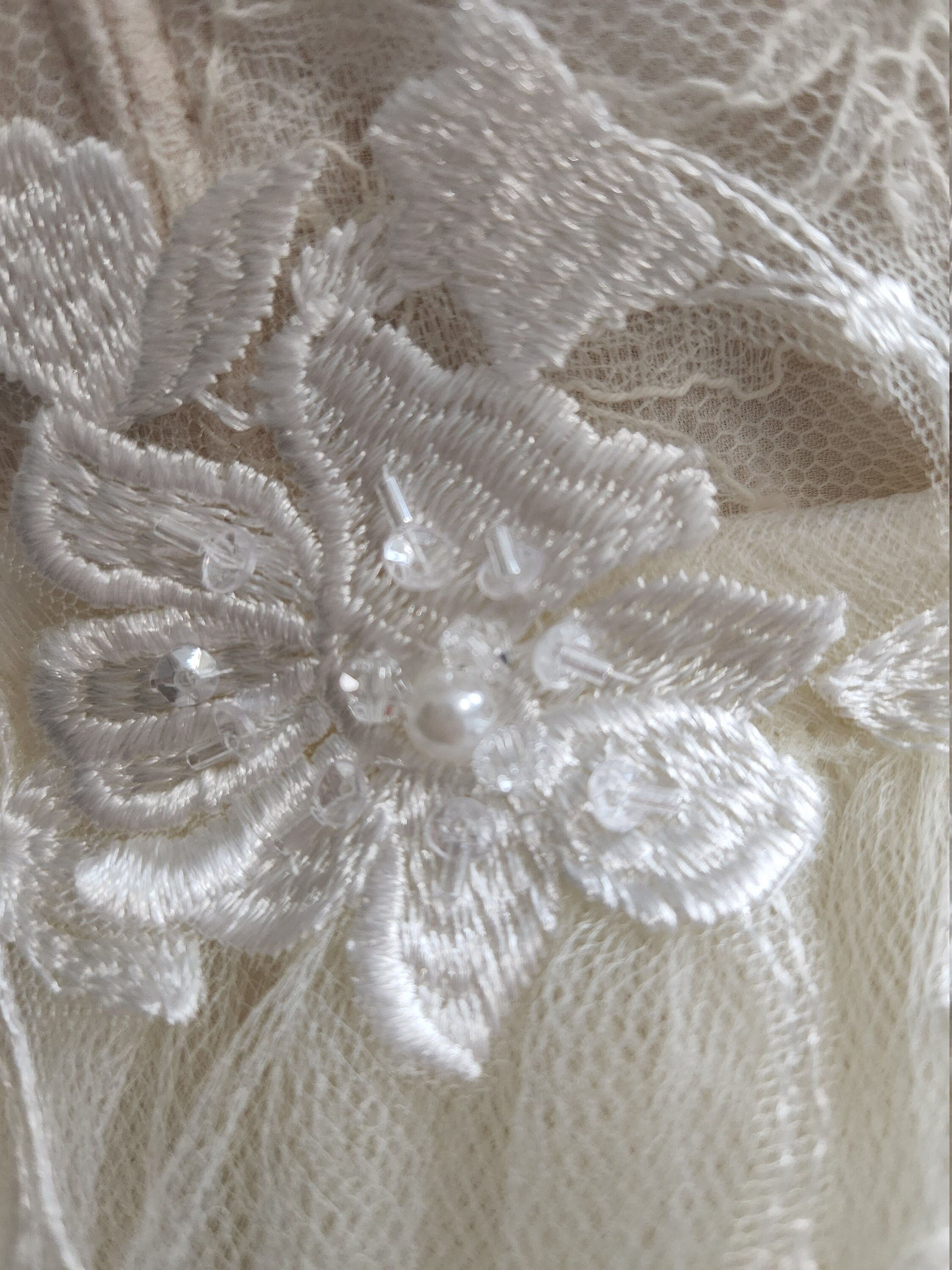 Glorious Embroidered Tulle Dress with An Overskirt