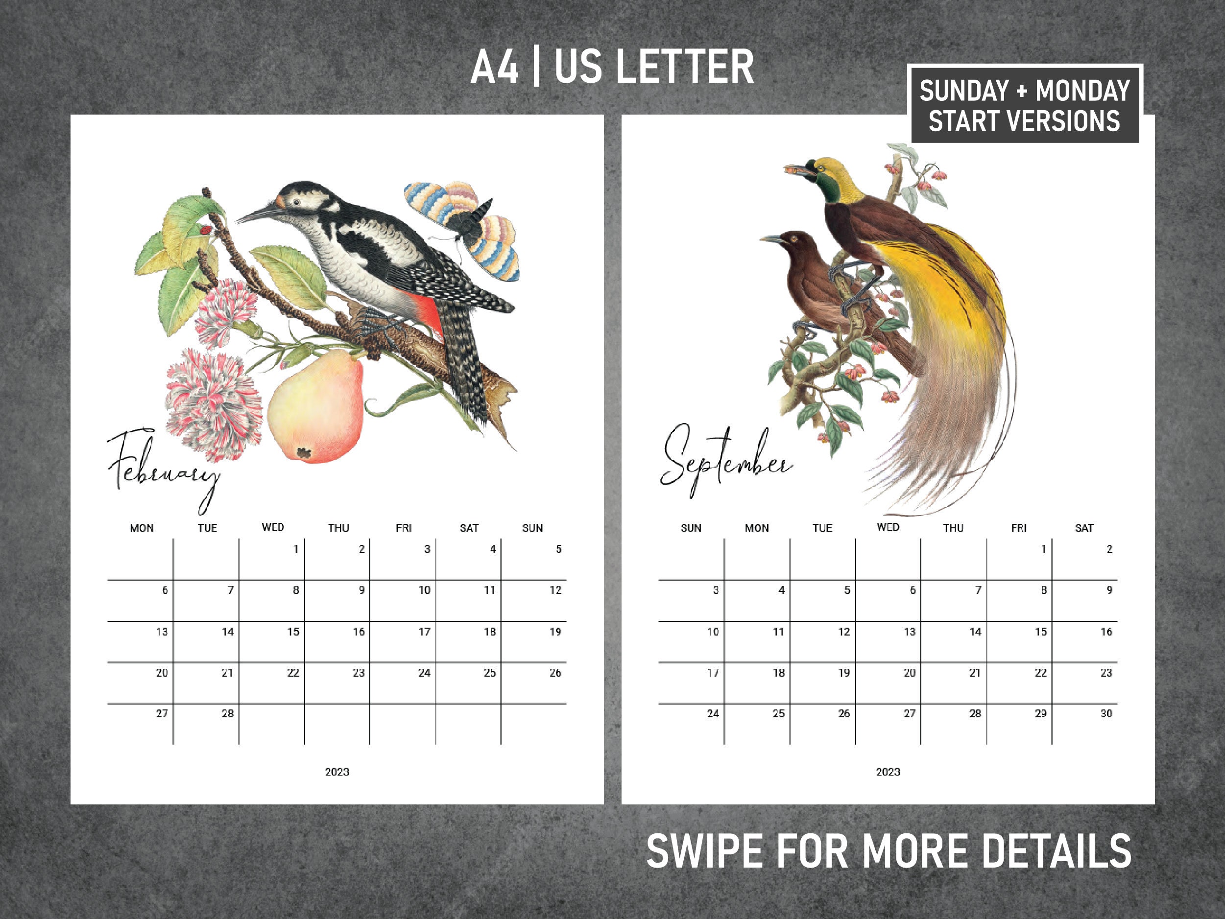 Bird Calendar - Etsy