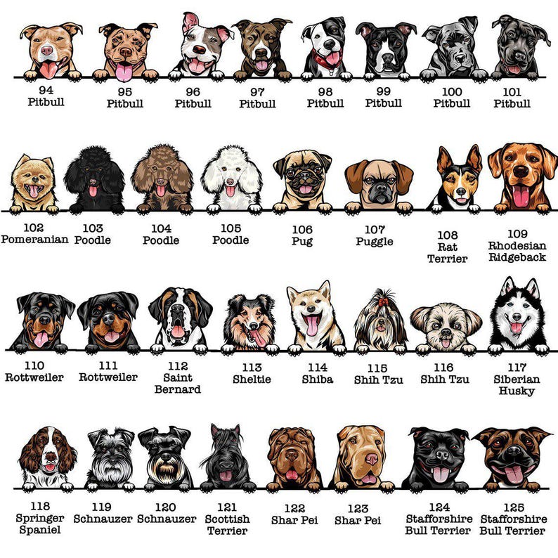 Custom Dogs New Best Friend Baby Romper, Personalized New Best Friend