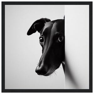 Elegant Black Greyhound / Lurcher Mounted Framed Poster Print - Premium Matte Paper