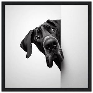 Great Dane Art Print, Curious Dog Black and White Photography, Modern Home Decor