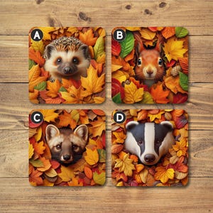 May include: Four square coasters featuring various woodland creatures emerging from a bed of vibrant autumn leaves. The animals include a hedgehog, a squirrel, a fox, and a badger.