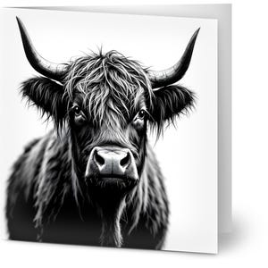 Pakket wenskaart Majestic Highland Cow - 10 premium milieuvriendelijke kaarten - prachtig zwart-witontwerp