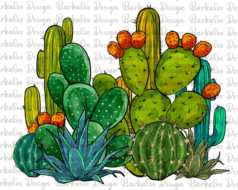 Western Watercolor Cactus PNG Sublimation Design, Cactus Clipart, Watercolor Cactus Png, Cactus Png, Western Cactus Png, Digital Download image 1