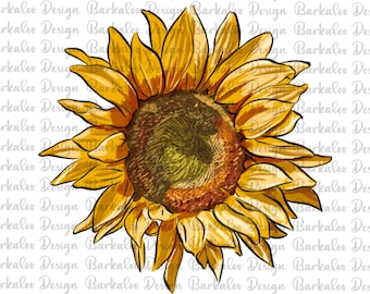 Hand Drawn Sunflower Png Sublimation Design,Sunflower Png,Sunflower Front Sublimation,Sunflower Sublimation Design Download,Digital Download