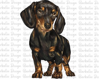 Dachshund Png Sublimation Design, Hand Drawn Dachshund Png, Dachshund Portrait Png, Dachshund Clipart, Dachshund Png Digital Downloads