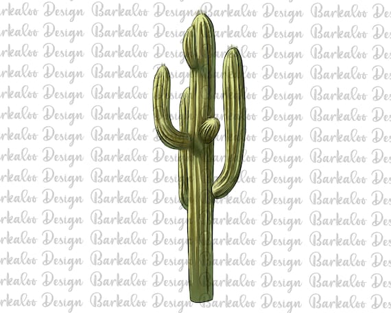 Hand Drawn Cactus Design Vector Download