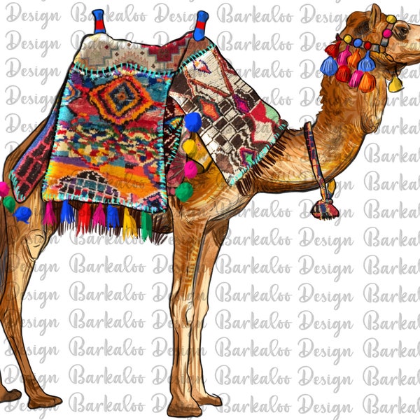 Camel With Colorful Saddle Png Sublimation Design, Camel Portrait Png,Hand Drawn Camel Png,Desert Animals Design Png,Digital Download