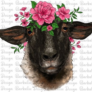 May include: A black and white sheep with a crown of pink flowers on its head. The sheep has a brown nose and black eyes.