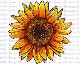 Sunflower Png Sublimation Design, Sunflower Png, Yellow Sunflower Png, Hand Drawn Sunflower Png, Sunflower Clipart, Digital Download