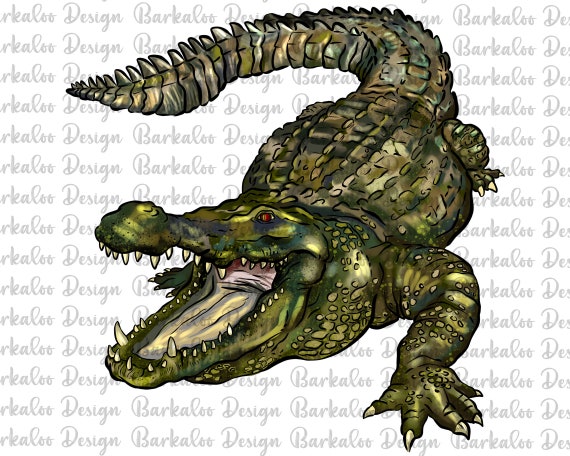 Alligator Png Sublimation Design, Hand Drawn Alligator Png,Gator Portrait Png,Aligator Clipart,Crocodile Png,Crocodile Clipart Png Downloads