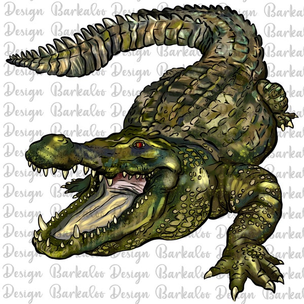 Alligator Png Sublimation Design, Hand Drawn Alligator Png,Gator Portrait Png,Aligator Clipart,Crocodile Png,Crocodile Clipart Png Downloads