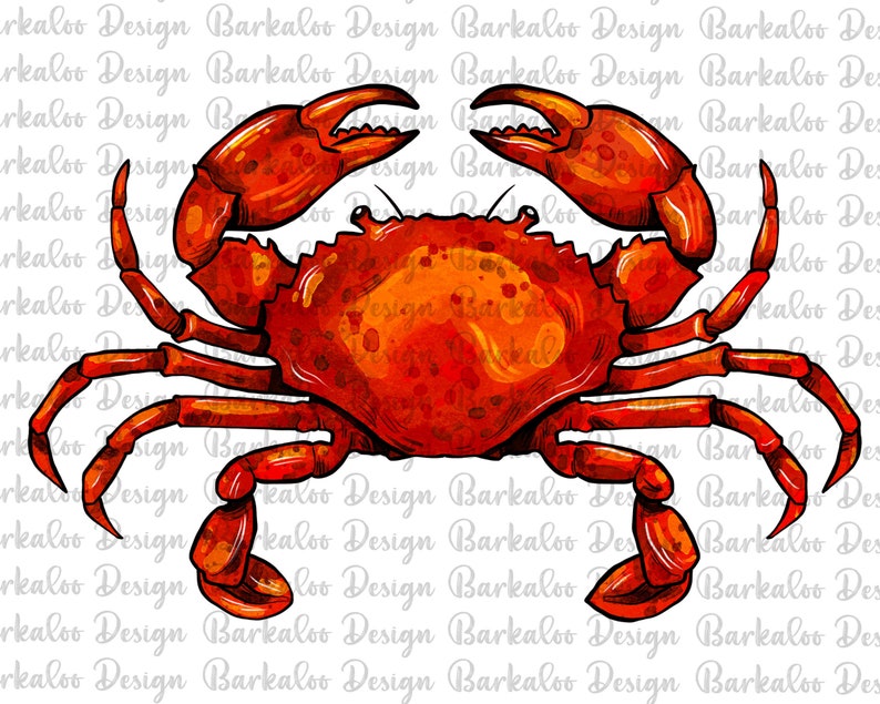 May include: A watercolor illustration of a red crab with its claws raised. The crab is drawn in a realistic style with detailed markings on its shell and legs.