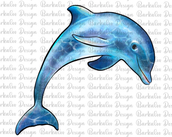 Dolphin Png Sublimation Design, Hand Drawn Dolphin Png, Dolphin Portrait Png, Dolphin Clipart, Sea Animals Png, Digital Download