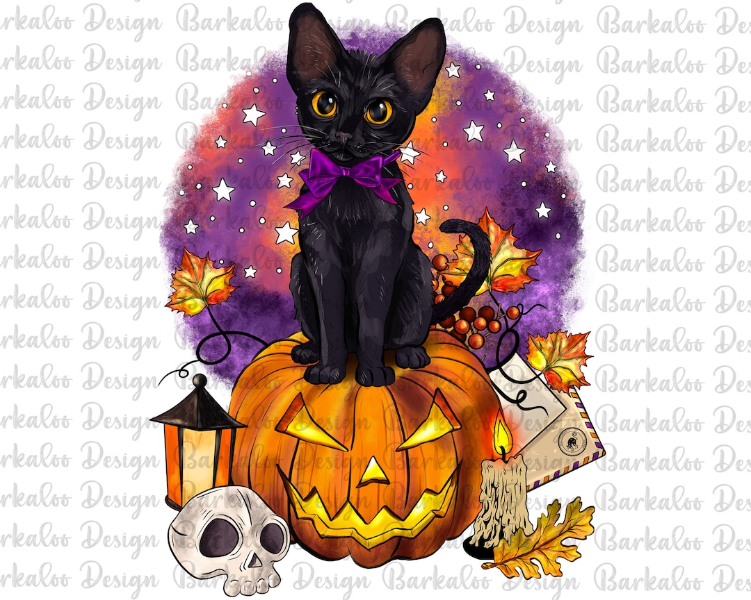 Halloween Black Cat Pumpkin PNG Sublimation Design,baby Cat With ...