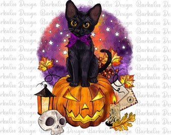 Halloween Schwarze Katze Kürbis PNG Sublimation Design,Baby Katze mit Kürbis Halloween Png Datei, Kürbis Gruselige Saison Png, Digitaler Download