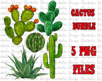 Western Cactus Bundle Png Sublimation Design, Floral Cactus, Flowers Png ,Sublimate Designs Download, Digital Download