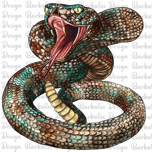 Rattlesnake Png Sublimation Design, Hand Drawn Rattlesnake Png, Rattlesnake Portrait Png, Rattlesnake Clipart, Copperhead Png Downloads