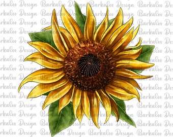 Sunflower Png Sublimation Design, Hand Drawn Sunflower Png, Western Sunflower Png, Sunflower Design Png, Sunflower Clipart, Digital Download