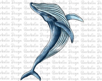 Megattera che salta png sublimazione design, balena disegnata a mano png, ritratto di balena png, clipart balena, animali marini png, download digitale